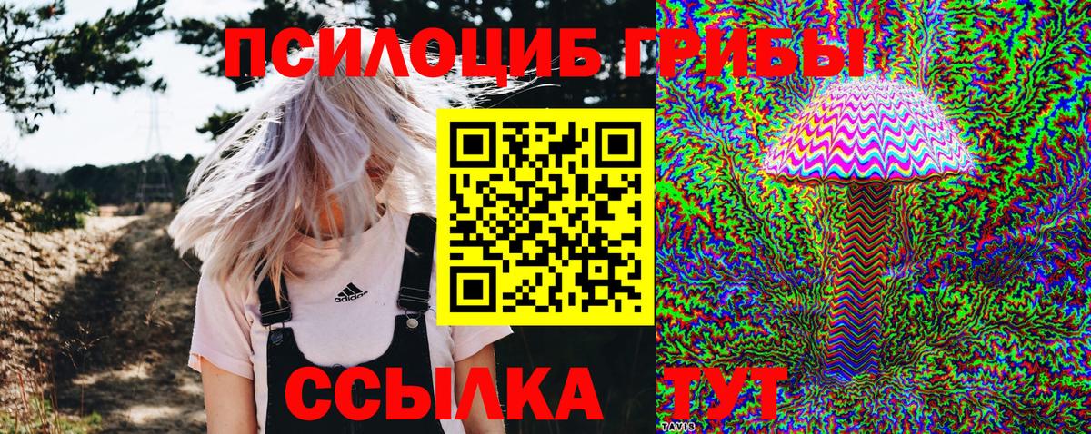 Псилоцибиновые грибы Cubensis  Псилоцибиновые грибы мицелий  Ногинск  цены наркотик  Вход с VPN 