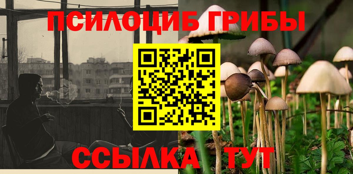 Псилоцибиновые грибы Cubensis Ногинск